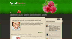 Desktop Screenshot of narodpomojet.ru